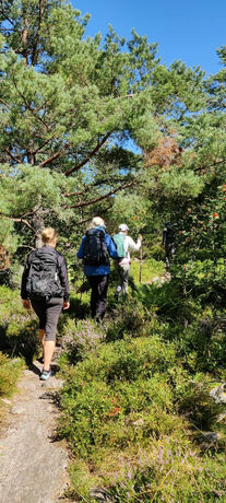 tre kvinder går på en skovsti