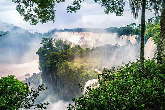 waterfall-iguazu-national-park-surrounded-by-forests-covered-fog-cloudy-sky (1).JPG