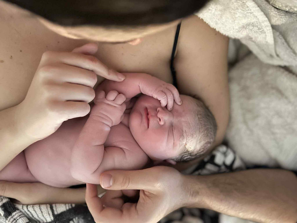 5195d0ee-8cb9-4c25-be92-a27bb3e5e104_edited