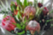 protea-cover.jpg