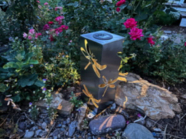 Dragonfly Luminary, with solar powered light