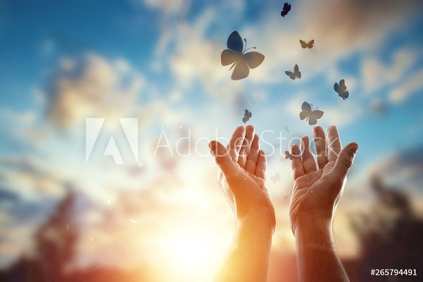 AdobeStock_265794491_Preview.jpeg
