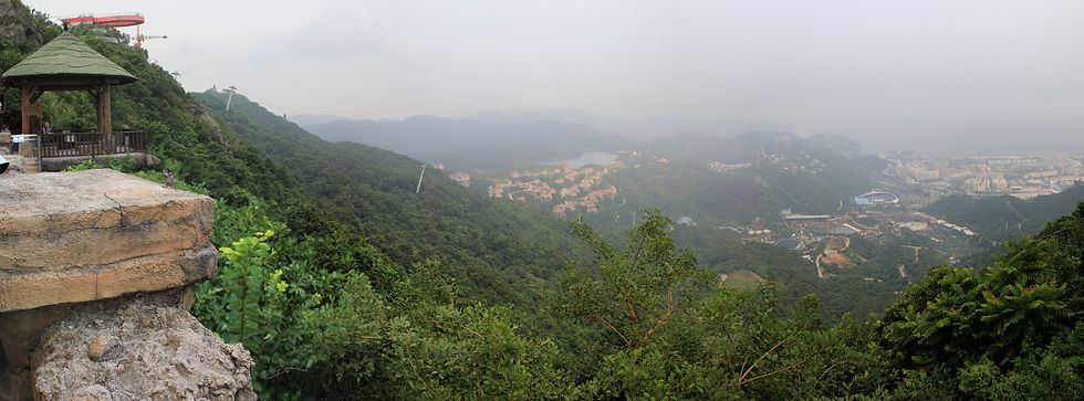 Panoramic view