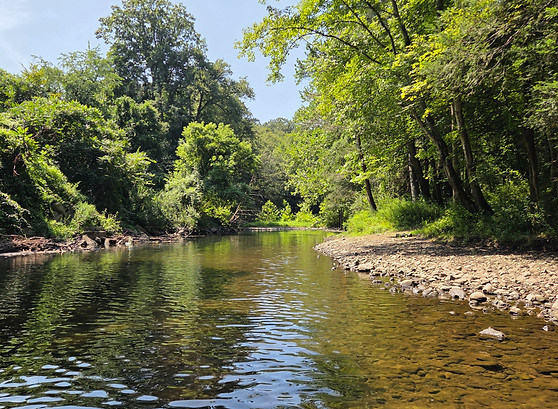 20250809_115124_edited.jpg