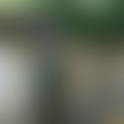 PRWC Expands Water Quality Assessments in 2019 Field Season