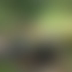 Youth Conservation Corps Program Continues Another Season