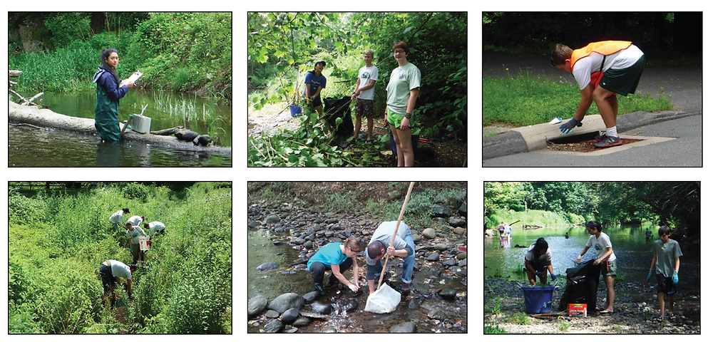 Science, Stewardship, & Restoration