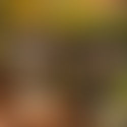 Practicing Gratitude