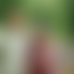 Meet the 2023 Dr. Marc Taylor Interns