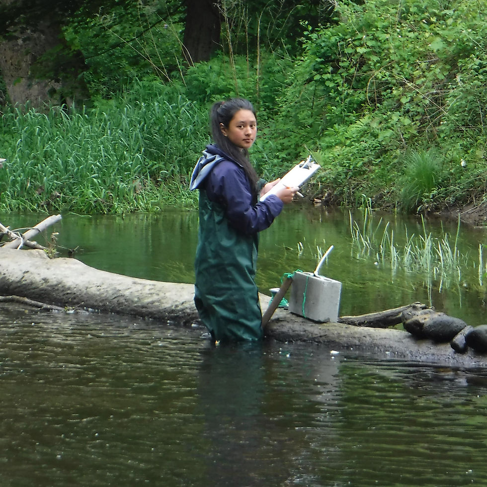 Rain barrels, like the one seen here, are an effective way to reduce your water footprint.