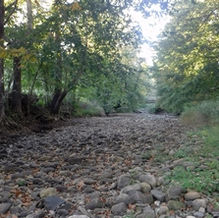 Fall 2015 River Flows at Historical Lows
