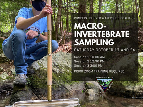 Volunteers Invited to Join Pomperaug River Watershed Coalition’s 15th Annual Macroinvertebrate Surve