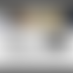 Volunteer | Macroinvertebrate Survey (RVB)