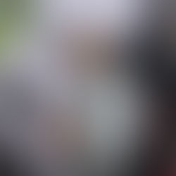 U.S. Geological Survey Work Resumes Within and Near the Pomperaug River Watershed Region