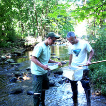 PRWC’s 10th Annual Macroinvertebrate Survey September 19