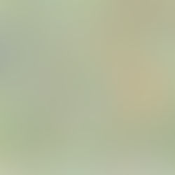 Results of 2021 Macroinvertebrate Survey Now Available