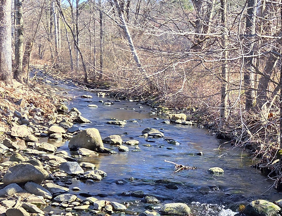 20260408_095809_edited_edited_edited.jpg