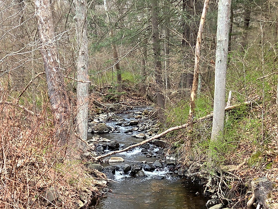 20260413_104349 (1)_edited.jpg