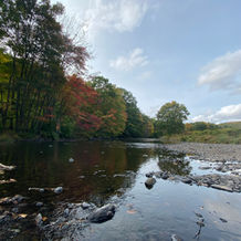 (Guest Post) Drought Update: The Five Stages of Drought, and What You Can Do to Help