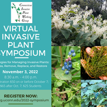 Virtual Invasive Plant Symposium, November 3