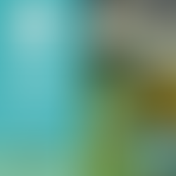 Virtual Invasive Plant Symposium, November 3