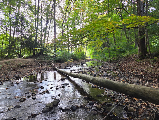 Bullet Hill Brook