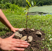 It Takes a Coalition to Protect a River