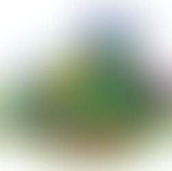 PRWC seeking volunteers for Rain Garden planting