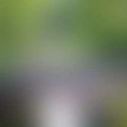 Our State Water Plan