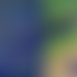 Rivers and Watercourses:The Importance of Riparian Zones