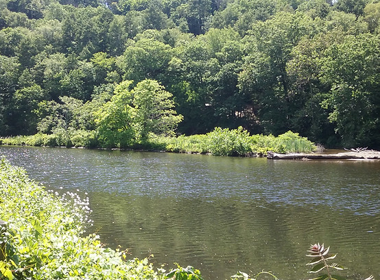 PompR Sby - Oakdale Manor #195 US - Bact