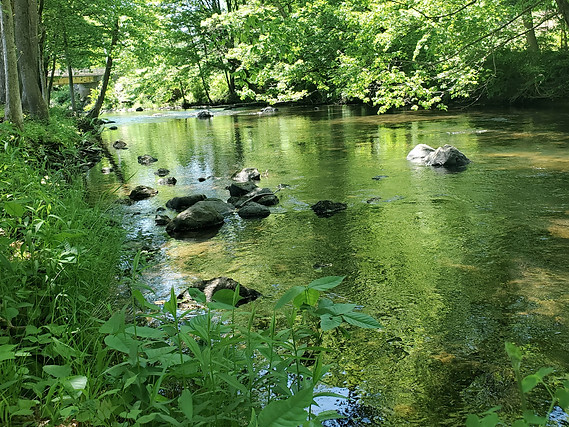 20240522_132158 (1)_edited.jpg
