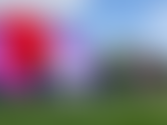 Play Your Way to Wimbledon Entry Open!