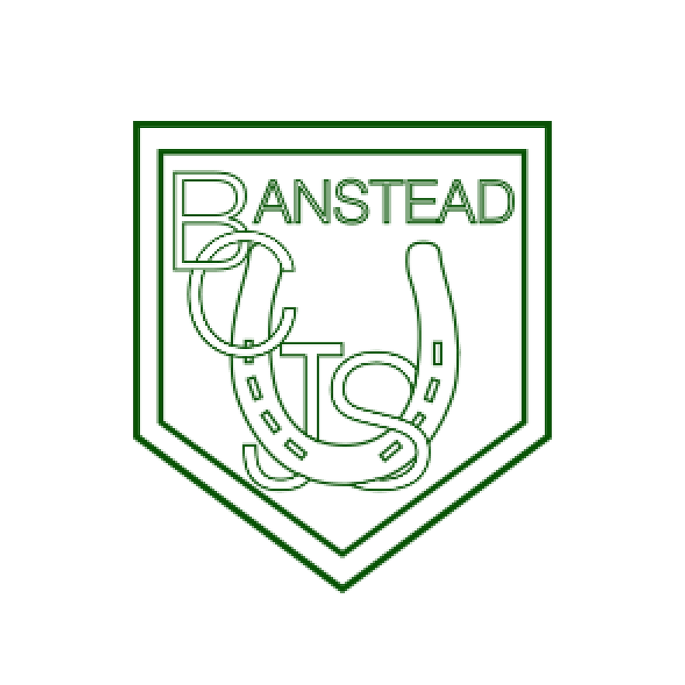 Banstead-Infants.png