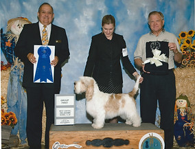 2008 GROUP 1 HOUND  2.jpeg