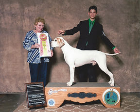 2016 BEST JUNIOR 4.jpeg