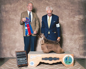 2016  RESERVE BEST IN SHOW 3.jpeg