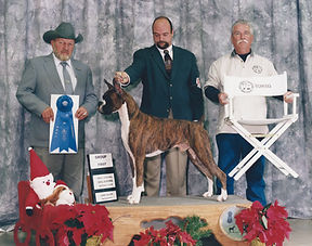 1999 GROUP 1 WORKING 2 .jpeg