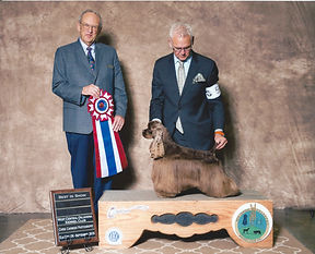 2016 BEST IN SHOW 2.jpeg