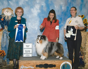 2008 GROUP 1 HERDING  2.jpeg