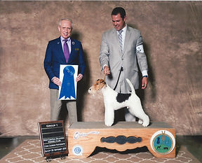 2016 GROUP 1 TERRIER 2 1.jpeg