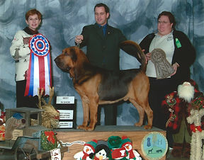 2002 BEST IN SHOW 1 .jpeg