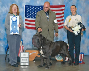 2010 GROUP 1 WORKING  2 .jpeg