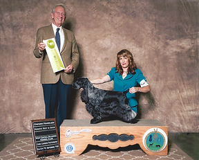 2016  OH RESERVE BEST IN SHOW 3.jpeg