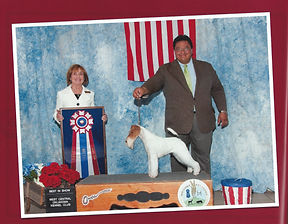 2010 BEST IN SHOW .jpeg