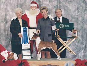 1999 GROUP 1 HOUND  1.jpeg