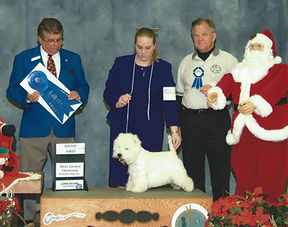 2004 GROUP 1 TERRIER 1.jpeg