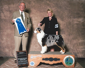 2016 GROUP 1 HERDING 4.jpeg