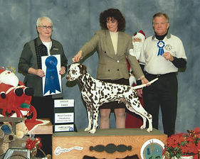 2004 GROUP 1 NON SPORTING 1.jpeg