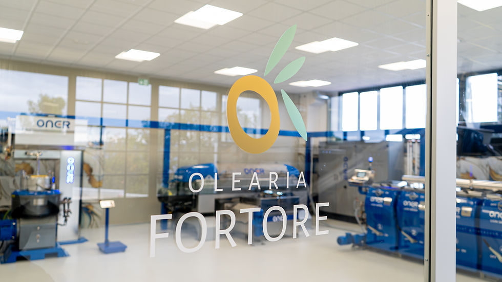 Le Nostre Olive: Il Cuore Verde del Frantoio Olearia Fortore